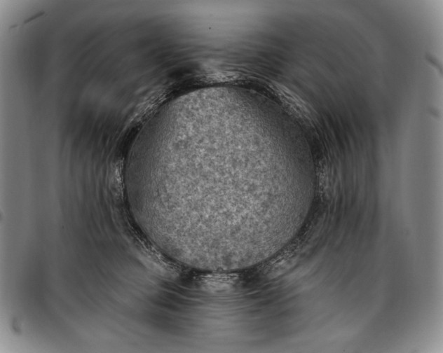 X0000096680373200802191358