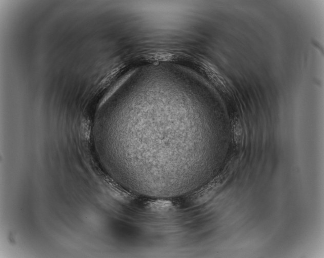 X0000096680374200802191358