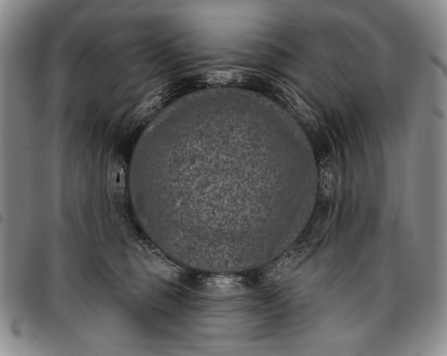 X0000096680375200802191358