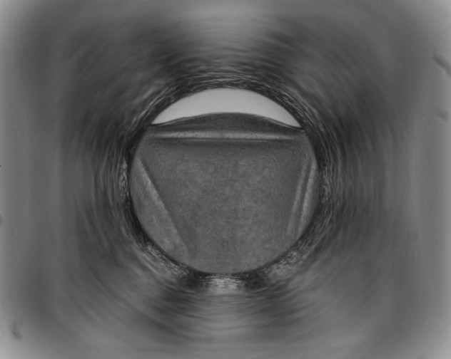 X0000096680376200802191358