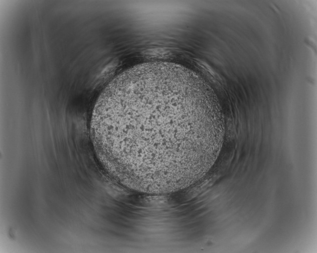 X0000096680377200802191358
