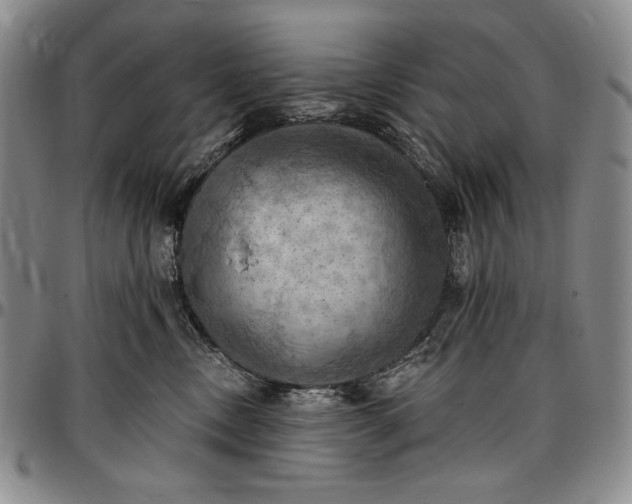 X0000096680378200802191358
