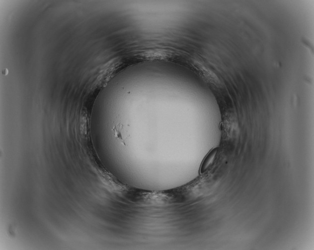 X0000096680379200802191358