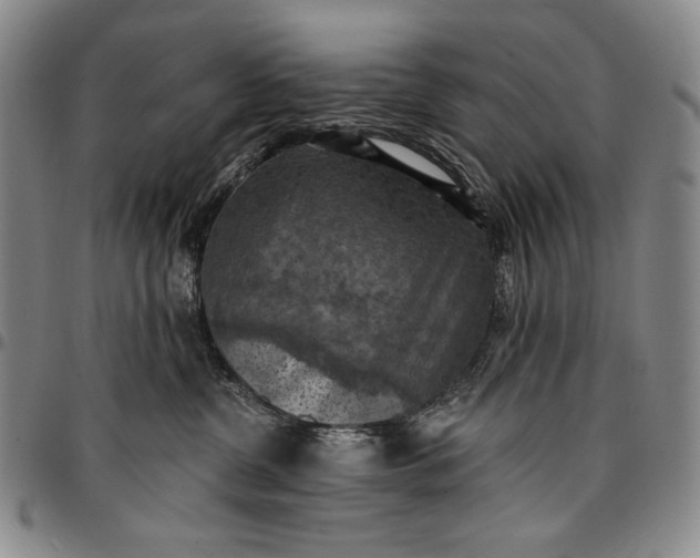 X0000096680380200802191358