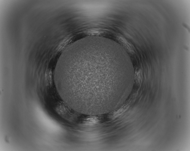 X0000096680381200802191358