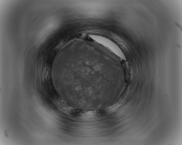 X0000096680382200802191358