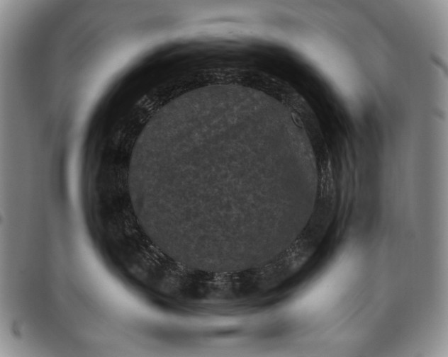 X0000096680383200802191358