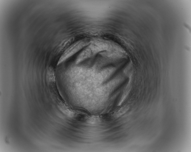 X0000096680384200802191358