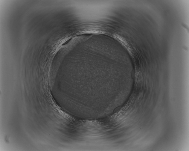 X0000096680385200802191357