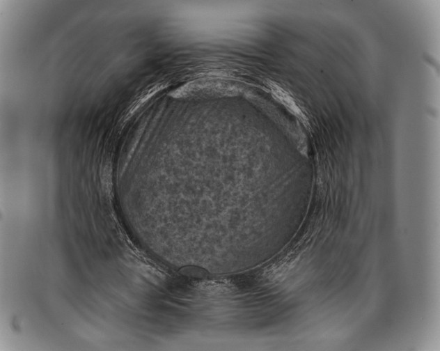 X0000096680386200802191357