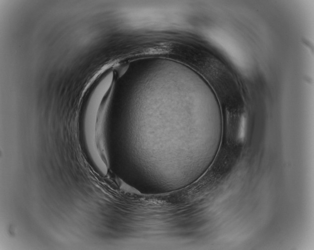 X0000096680387200802191357