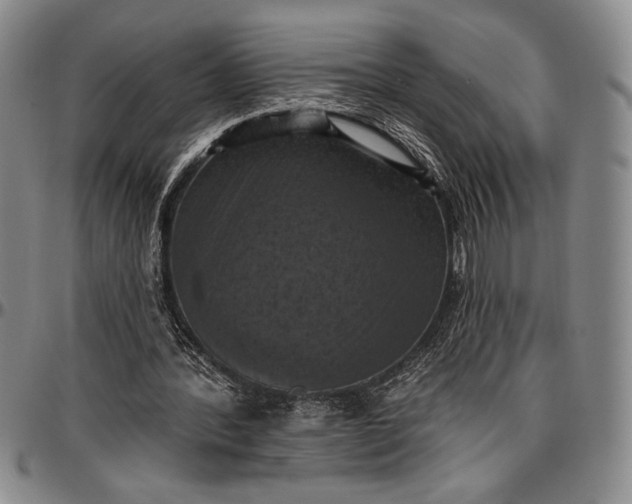 X0000096680388200802191357