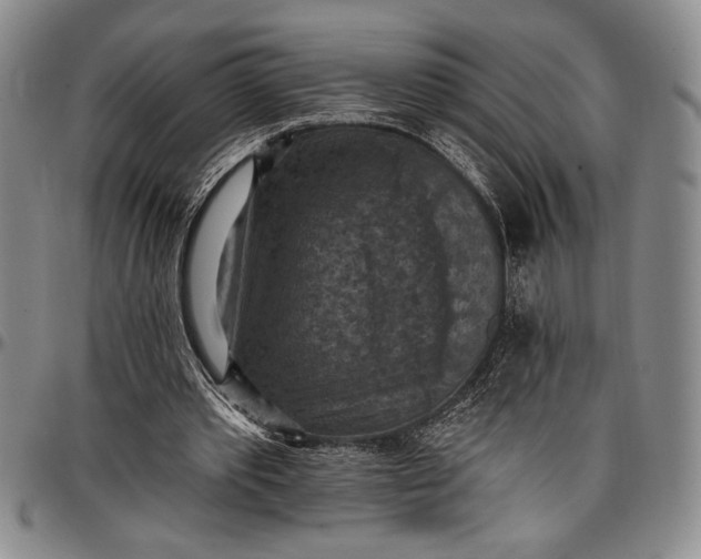 X0000096680389200802191357
