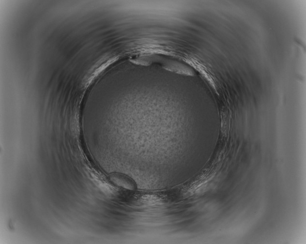 X0000096680390200802191357