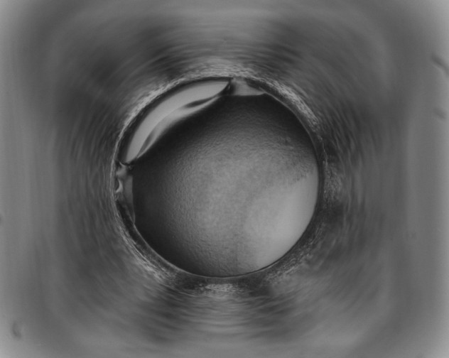 X0000096680391200802191357