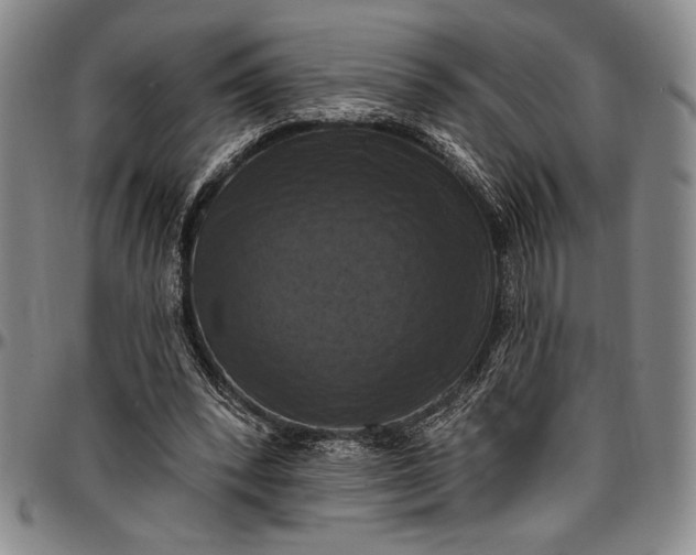 X0000096680392200802191357