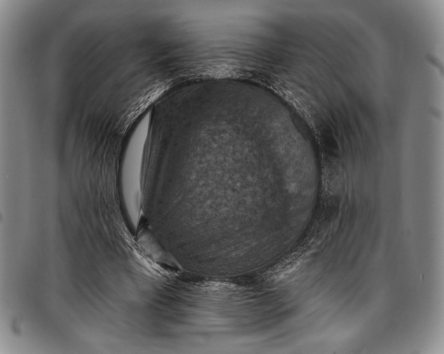 X0000096680393200802191357