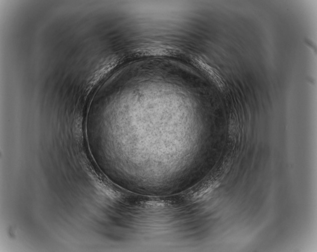 X0000096680394200802191357