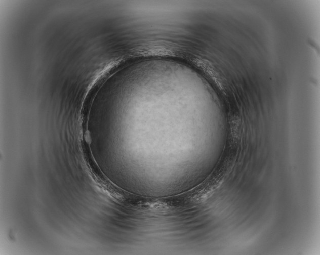 X0000096680395200802191357
