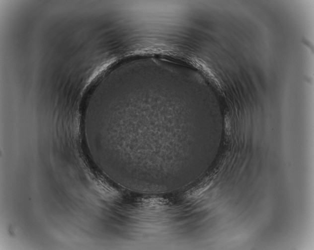 X0000096680396200802191357