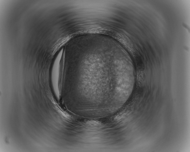 X0000096680397200802191357