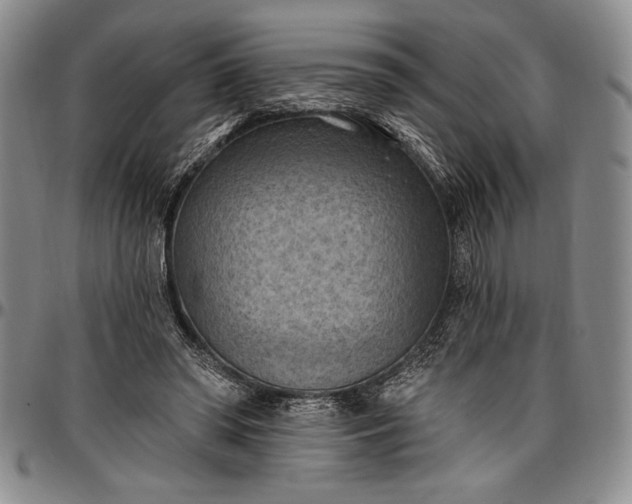 X0000096680398200802191357