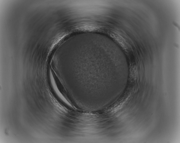 X0000096680399200802191357