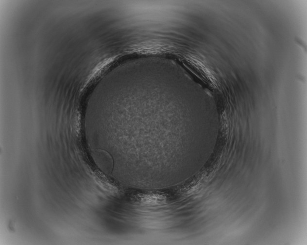X0000096680400200802191357