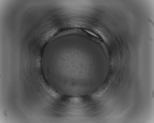X0000096680402200802191357