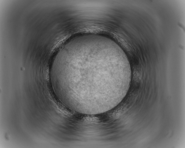 X0000096680403200802191357