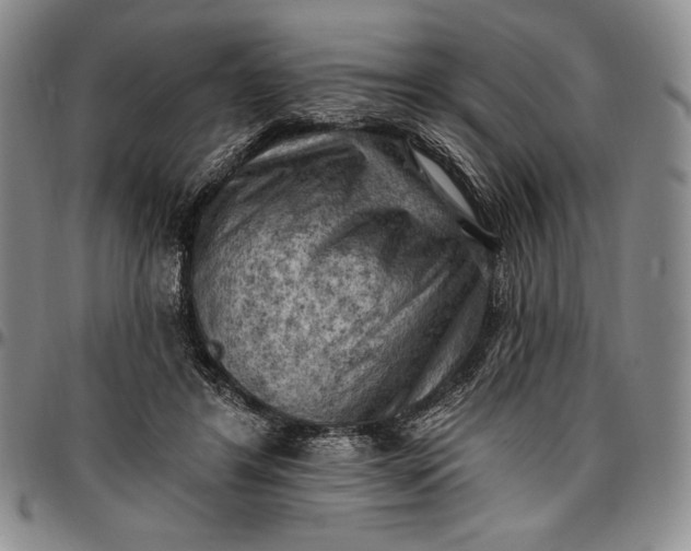 X0000096680404200802191357
