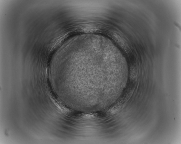 X0000096680405200802191357