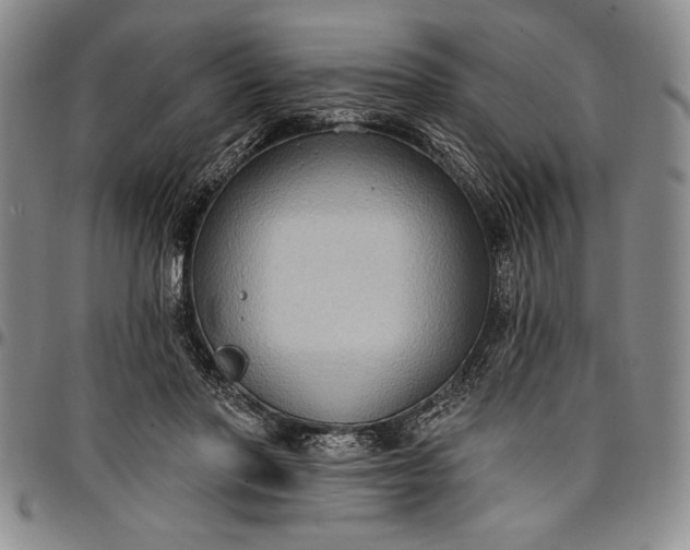 X0000096680406200802191357