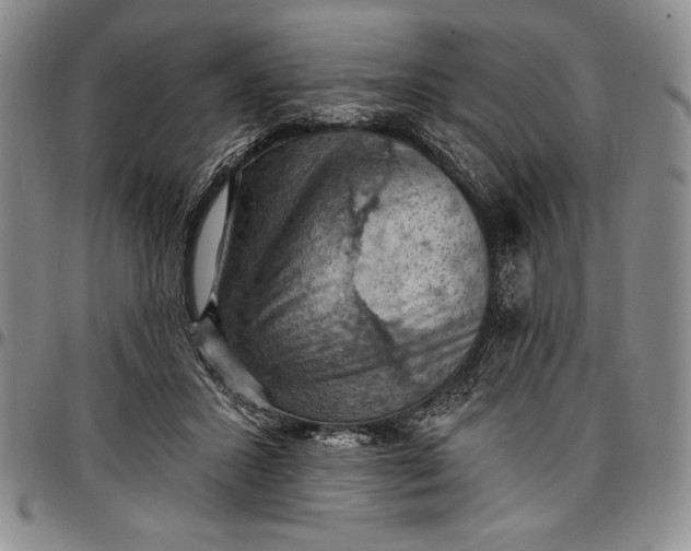 X0000096680407200802191357