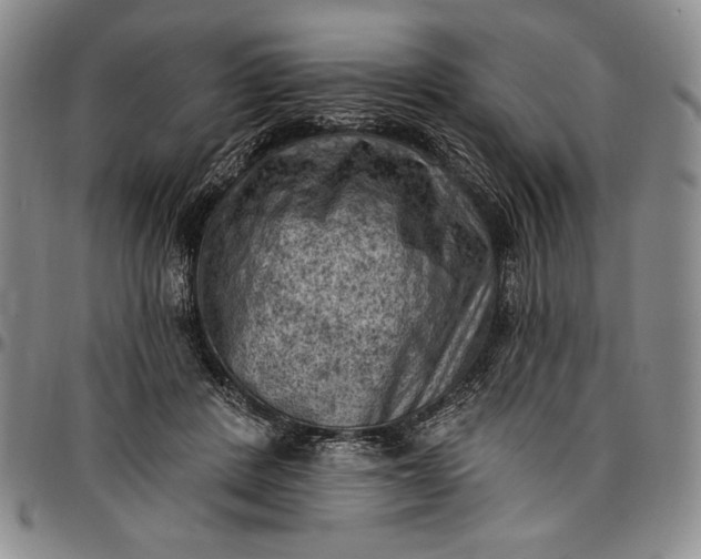 X0000096680408200802191357