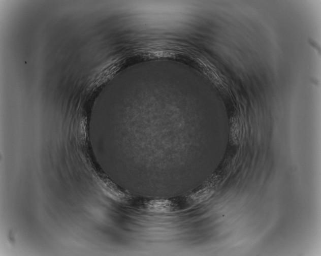 X0000096680410200802191357