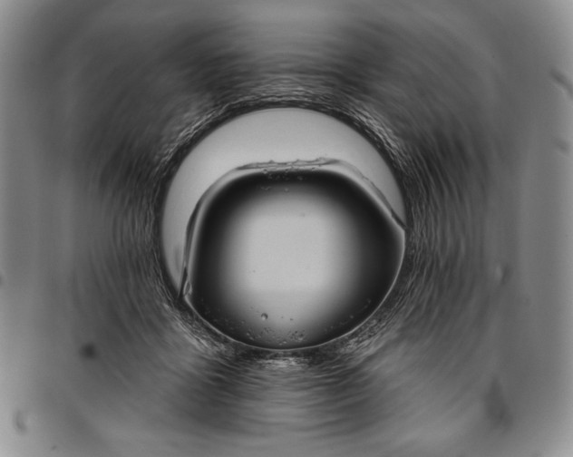 X0000096680411200802191357