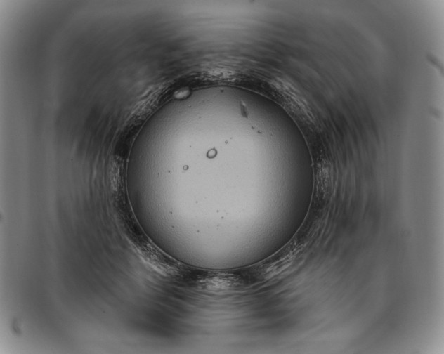 X0000096680412200802191357