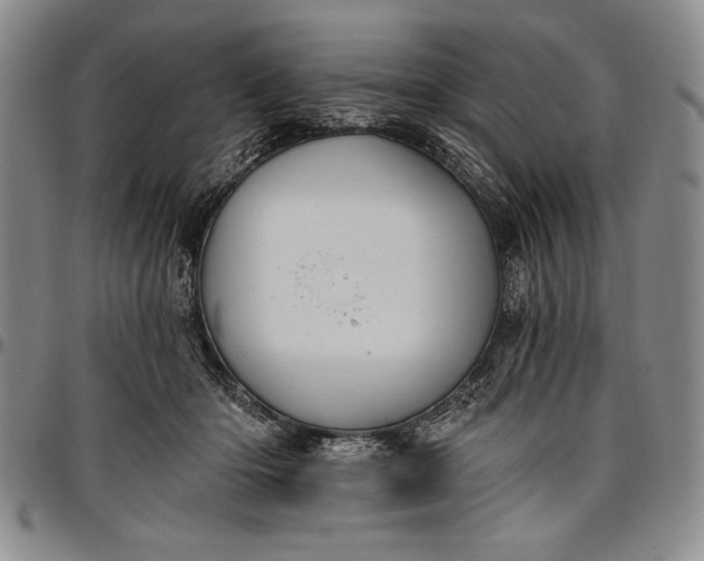 X0000096680414200802191357