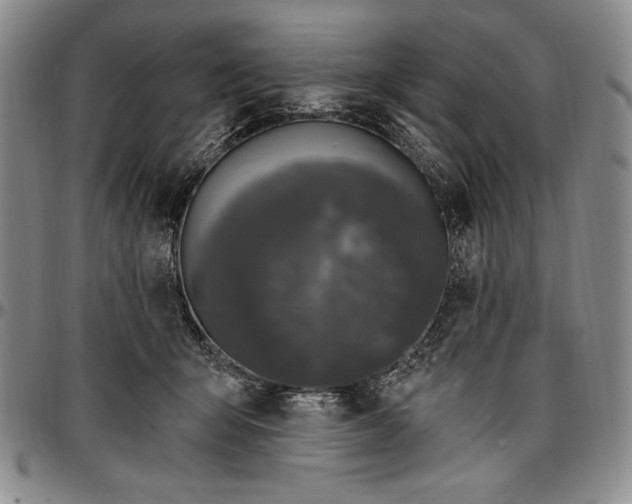 X0000096680415200802191357