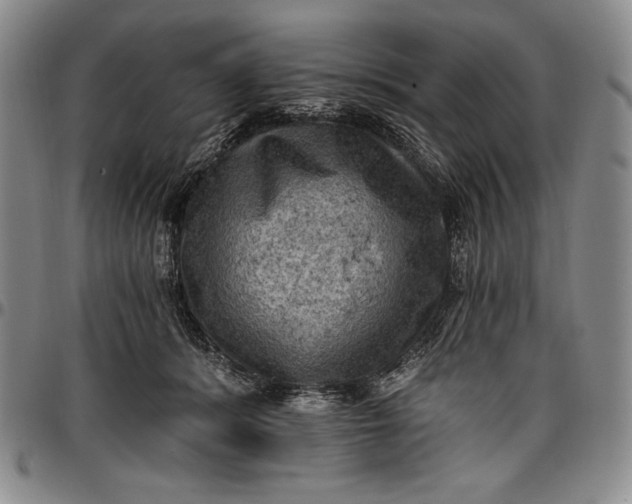 X0000096680416200802191357