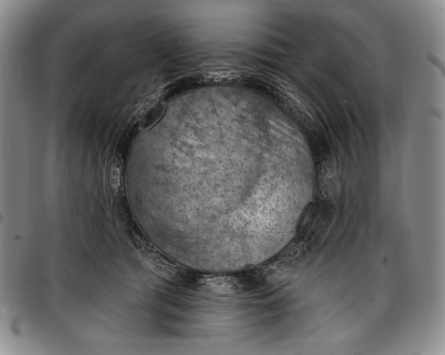 X0000096680417200802191357