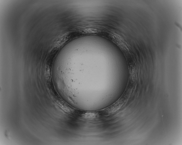 X0000096680418200802191357