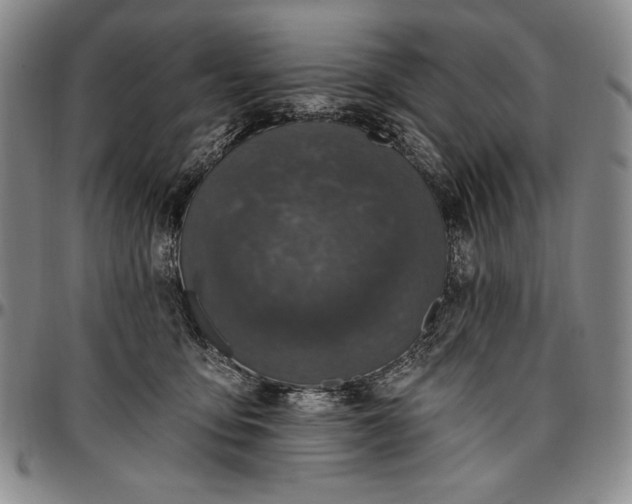 X0000096680419200802191357