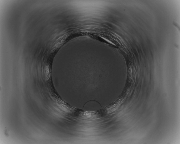 X0000096680420200802191357