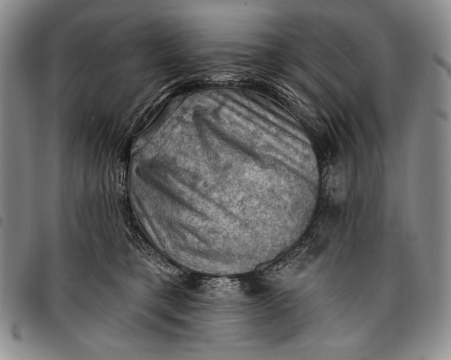 X0000096680421200802191357