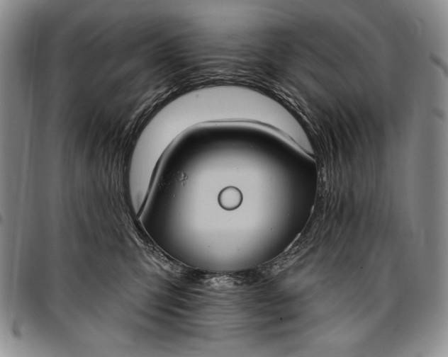 X0000096680423200802191357