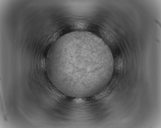 X0000096680425200802191357