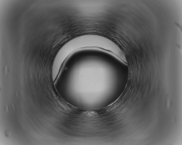 X0000096680427200802191357
