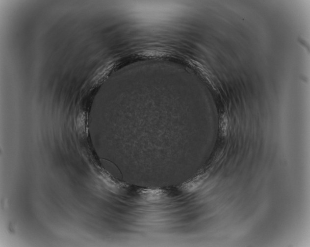 X0000096680428200802191357